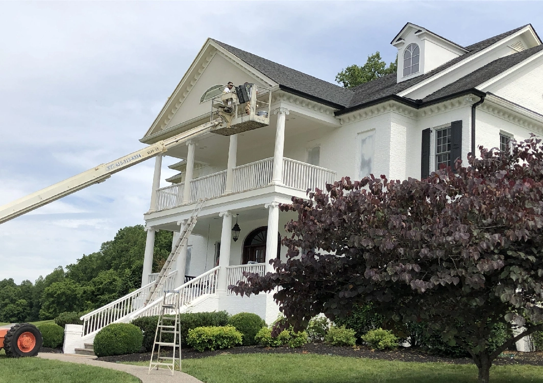 A house with a tree in front of it and a ladder on the side.